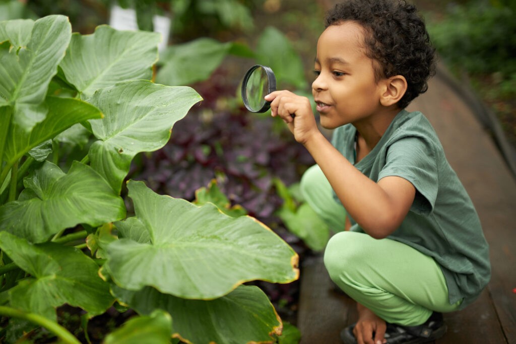 ESG investing - A boy looking at a plant with a magnifying glass