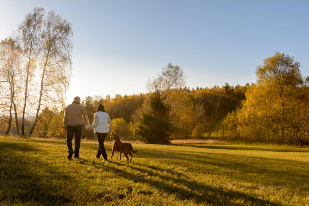 A couple walking a dog in the countryside